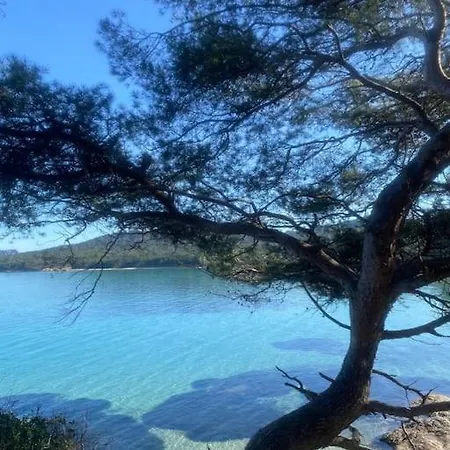 Ile De Porquerolles : T3 Climatise Vue Mer Exterior photo