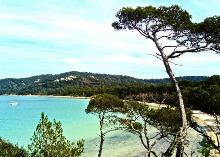 Ile De Porquerolles : T3 Climatise Vue Mer