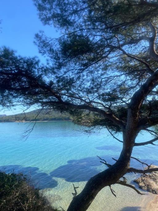 Ile De : T3 Climatise Vue Apartment