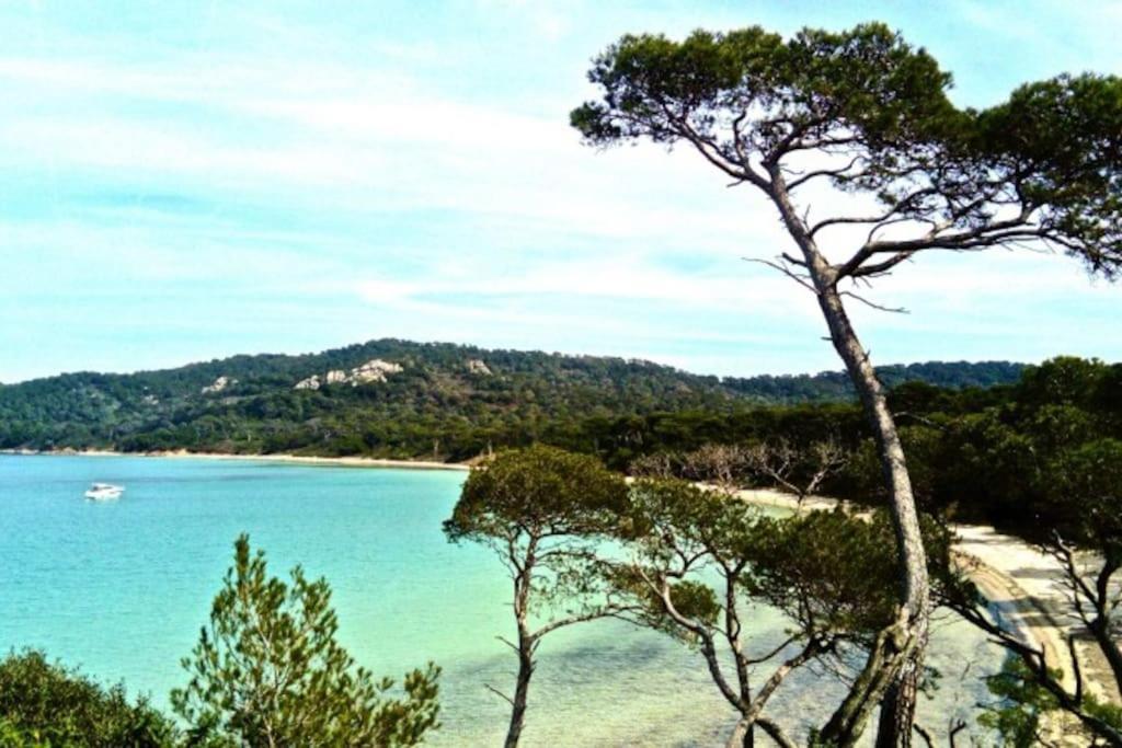 Ile De : T3 Climatise Vue Apartment *
